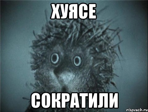 хуясе сократили, Мем Ежик в тумане