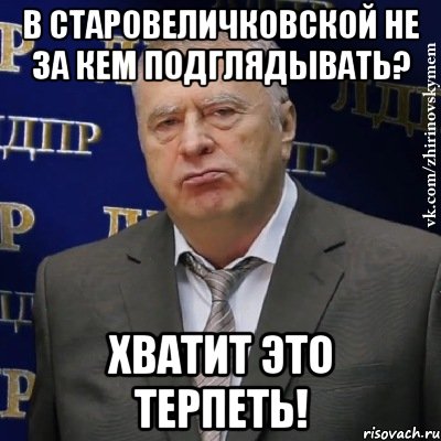 В СТАРОВЕЛИЧКОВСКОЙ НЕ ЗА КЕМ ПОДГЛЯДЫВАТЬ? ХВАТИТ ЭТО ТЕРПЕТЬ!, Мем Хватит это терпеть (Жириновский)