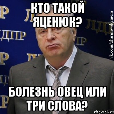 Кто такой Яценюк? Болезнь овец или три слова?, Мем Хватит это терпеть (Жириновский)