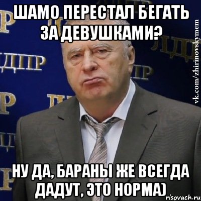 Шамо перестал бегать за девушками? Ну да, бараны же всегда дадут, это норма), Мем Хватит это терпеть (Жириновский)