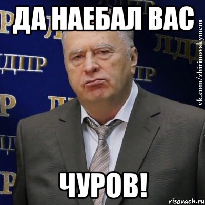 Да наебал Вас Чуров!, Мем Хватит это терпеть (Жириновский)