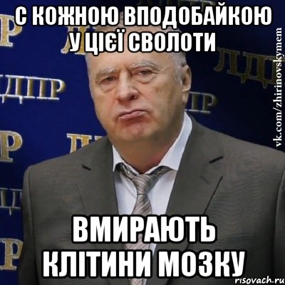 С кожною вподобайкою у цієї сволоти вмирають клітини мозку, Мем Хватит это терпеть (Жириновский)