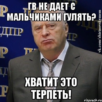 ГВ не дает с мальчиками гулять? Хватит это терпеть!, Мем Хватит это терпеть (Жириновский)