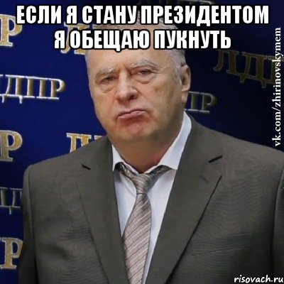 Если я стану президентом я обещаю пукнуть , Мем Хватит это терпеть (Жириновский)