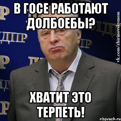 В ГОСе работают долбоебы? Хватит это терпеть!, Мем Хватит это терпеть (Жириновский)