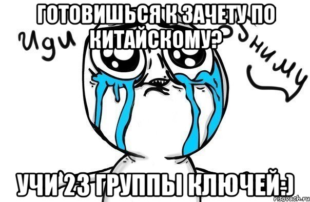 готовишься к зачету по китайскому? Учи 23 группы ключей:), Мем Иди обниму