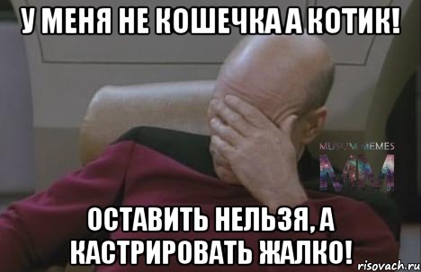 У меня не кошечка а котик! оставить нельзя, а кастрировать жалко!