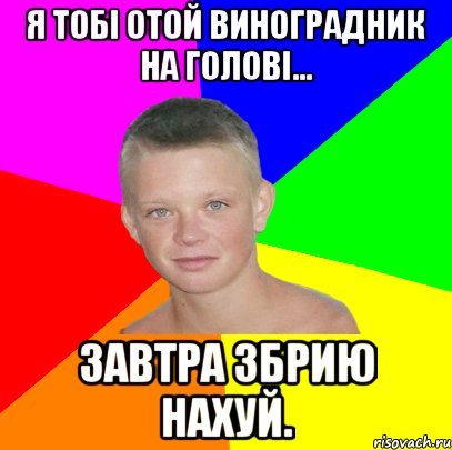 Я тобі отой виноградник на голові... завтра збрию нахуй.