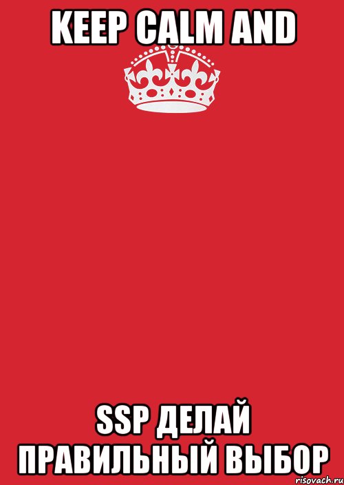 KEEP CALM AND SSP ДЕЛАЙ ПРАВИЛЬНЫЙ ВЫБОР, Комикс Keep Calm 3