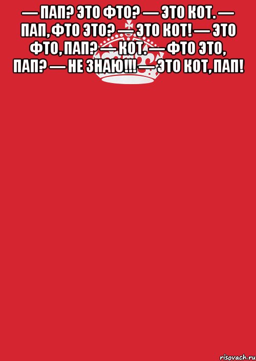 — пап? это фто? — это кот. — пап, фто это? — это кот! — это фто, пап? — кот. — фто это, пап? — не знаю!!! — это кот, пап! , Комикс Keep Calm 3