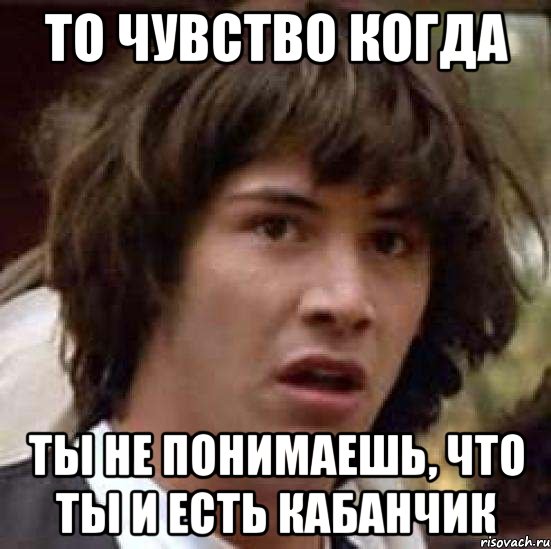 То чувство когда Ты не понимаешь, что ты и есть кабанчик, Мем А что если (Киану Ривз)