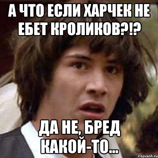 А что если Харчек не ебет кроликов?!? Да не, бред какой-то..., Мем А что если (Киану Ривз)