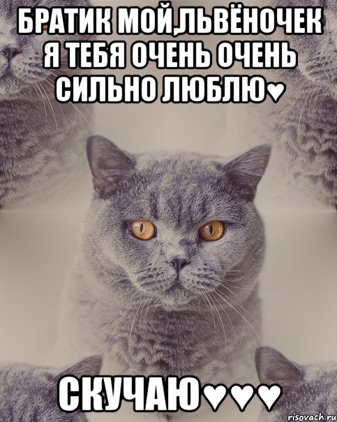 Братик мой,львёночек я тебя очень очень сильно люблю♥ Скучаю♥♥♥