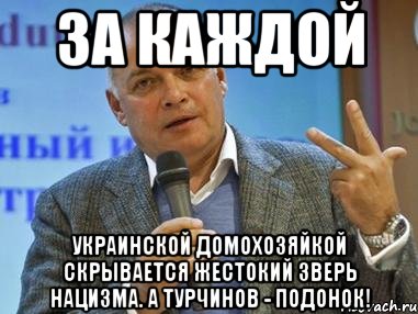 за каждой украинской домохозяйкой скрывается жестокий зверь нацизма. А турчинов - подонок!, Мем киселев