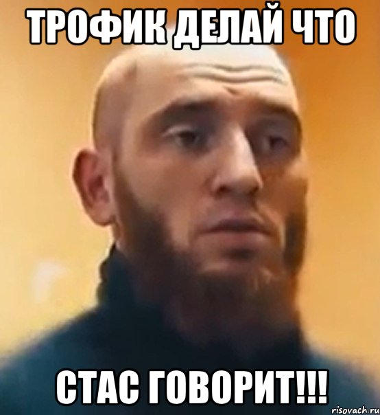 ТРОФИК ДЕЛАЙ ЧТО СТАС ГОВОРИТ!!!, Мем Шучу