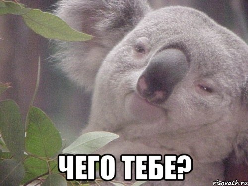  Чего тебе?