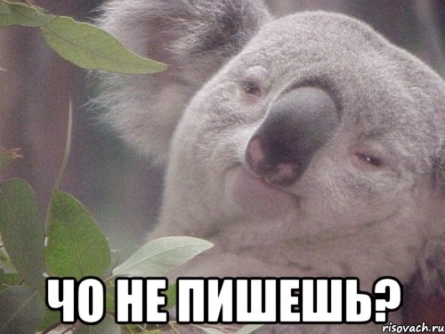  Чо не пишешь?