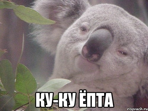  Ку-ку ёпта