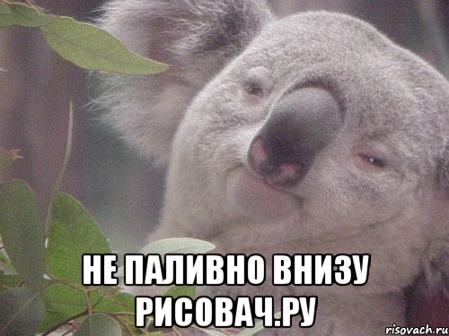  не паливно внизу рисовач.ру