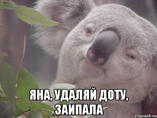  Яна, удаляй доту, заипала