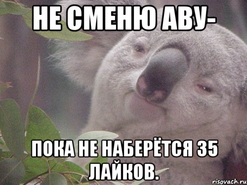 Не сменю аву- Пока не наберётся 35 лайков.