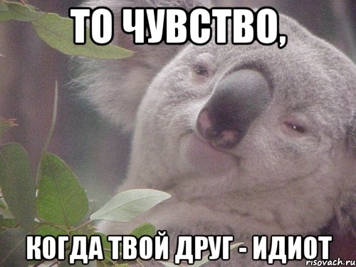 То чувство, Когда твой друг - идиот