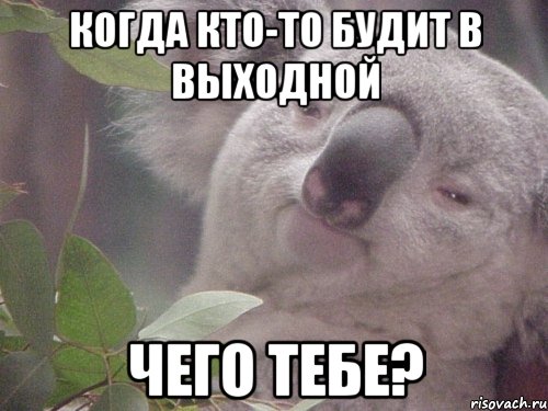 Когда кто-то будит в выходной Чего тебе?