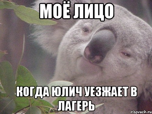 Моё лицо когда Юлич уезжает в лагерь
