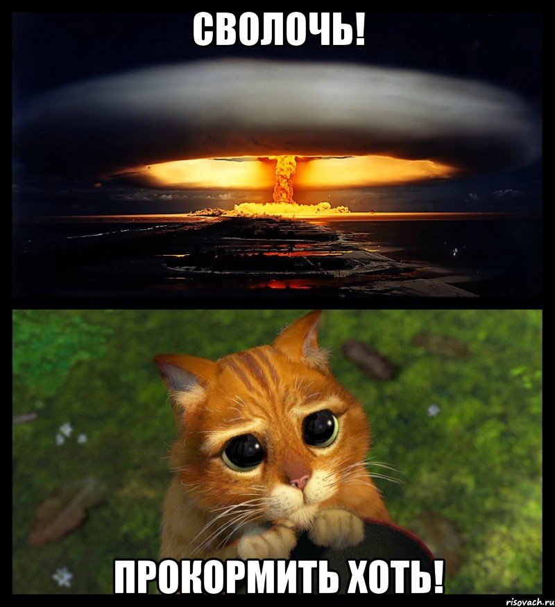 Сволочь! Прокормить хоть!, Мем коллаж