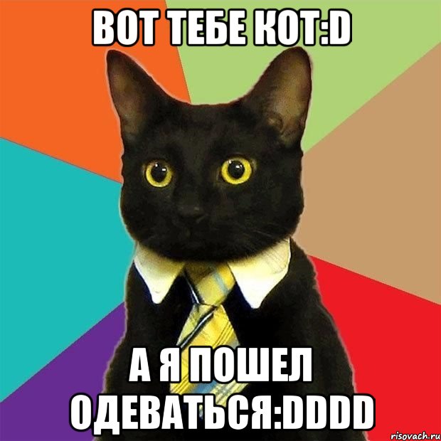 ВОТ ТЕБЕ КОТ:D А Я ПОШЕЛ ОДЕВАТЬСЯ:DDDD, Мем  Кошечка