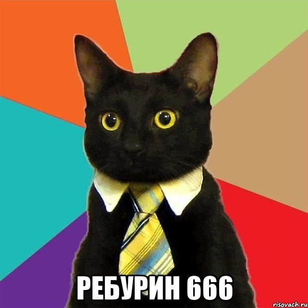  РЕБУРИН 666, Мем  Кошечка