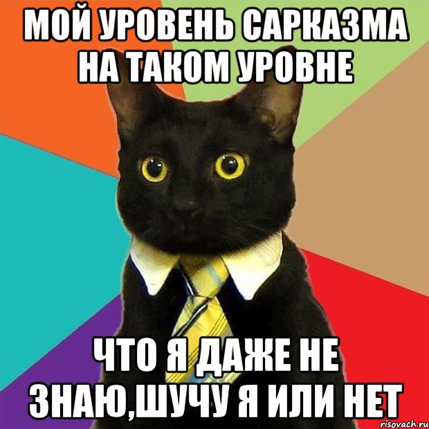 Мой уровень сарказма на таком уровне что я даже не знаю,шучу я или нет, Мем  Кошечка