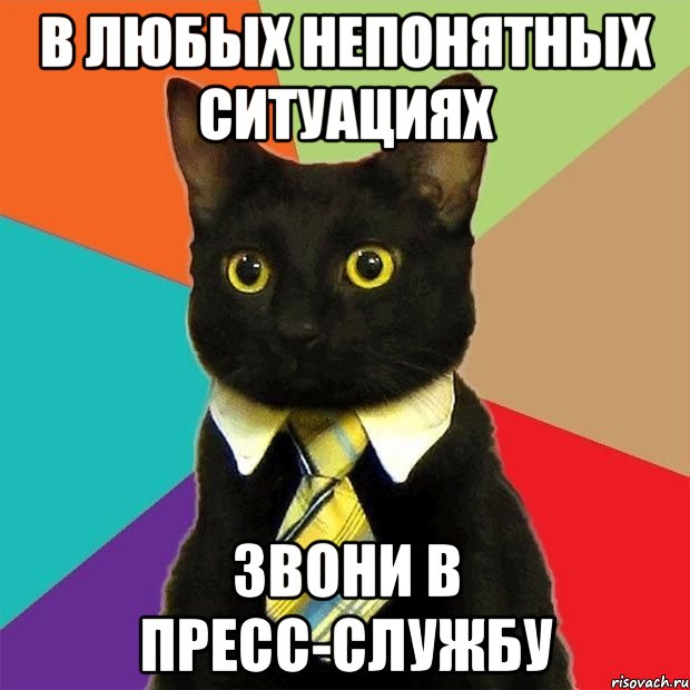 В ЛЮБЫХ НЕПОНЯТНЫХ СИТУАЦИЯХ ЗВОНИ В ПРЕСС-СЛУЖБУ, Мем  Кошечка