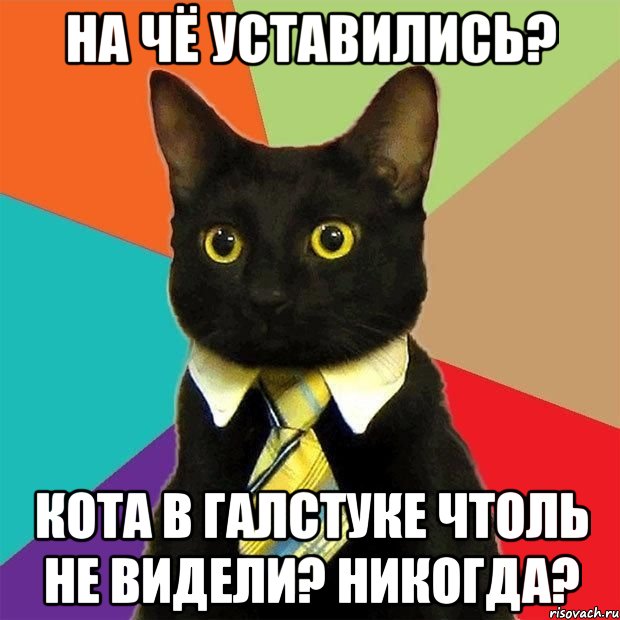 На чё уставились? Кота в галстуке чтоль не видели? Никогда?, Мем  Кошечка