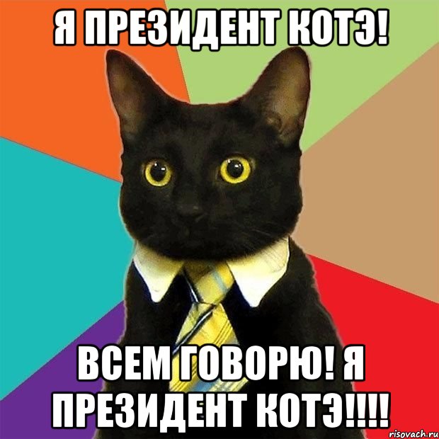 Я президент Котэ! Всем говорю! Я президент котэ!!!!, Мем  Кошечка