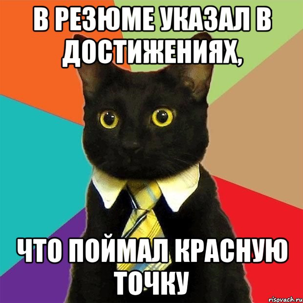 В РЕЗЮМЕ УКАЗАЛ В ДОСТИЖЕНИЯХ, ЧТО ПОЙМАЛ КРАСНУЮ ТОЧКУ, Мем  Кошечка