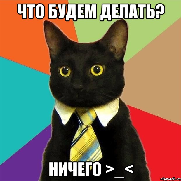 что будем делать? ничего >_<, Мем  Кошечка