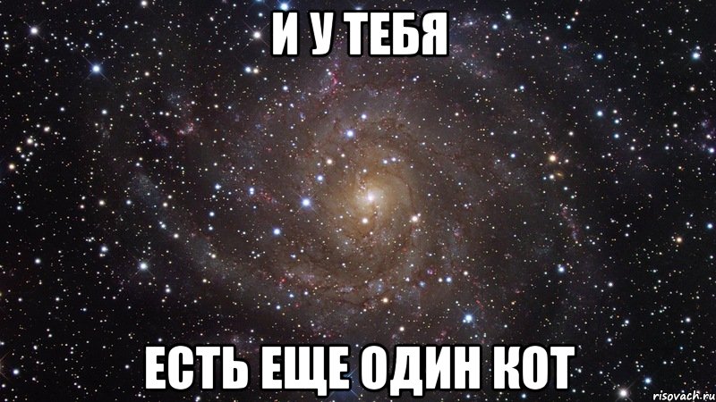 И у тебя Есть еще один кот, Мем  Космос (офигенно)