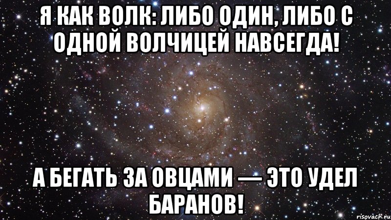 Я как волк: либо один, либо с одной волчицей навсегда! А бегать за овцами — это удел баранов!, Мем  Космос (офигенно)