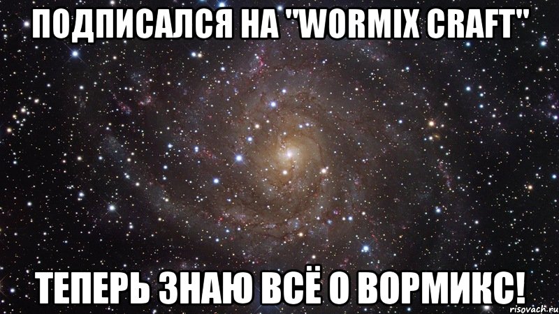 Подписался на "Wormix Craft" теперь знаю всё о Вормикс!, Мем  Космос (офигенно)