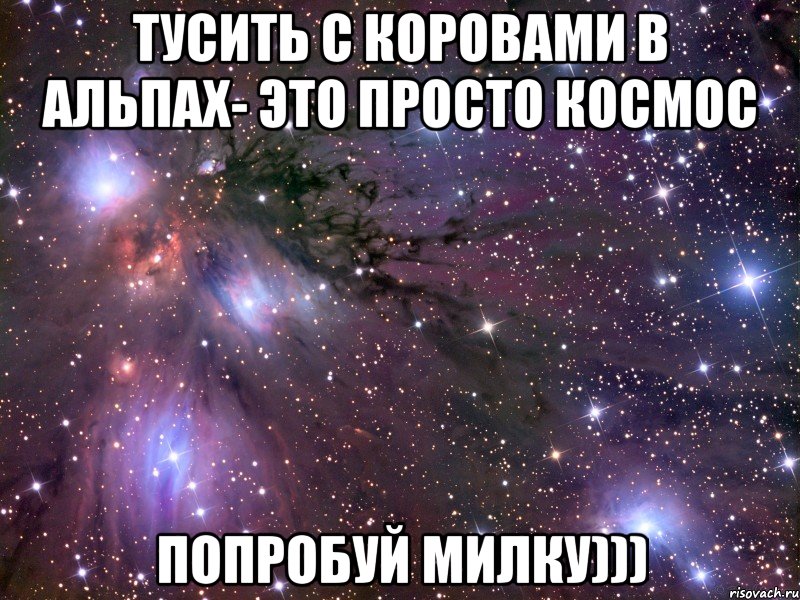 тусить с коровами в Альпах- это просто космос попробуй милку))), Мем Космос
