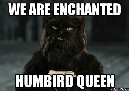 We are Enchanted HumBird Queen, Мем Кот Бегемот