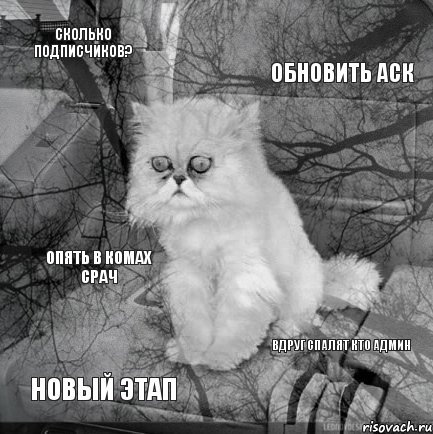 Сколько подписчиков? Обновить аск Новый этап Вдруг спалят кто админ Опять в комах срач