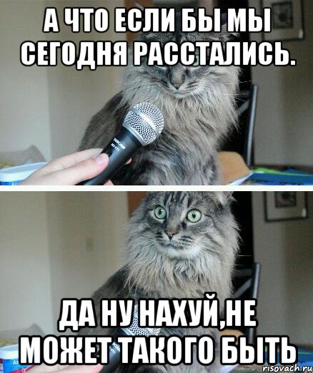 А что если бы мы сегодня расстались. да ну нахуй,не может такого быть, Комикс  кот с микрофоном