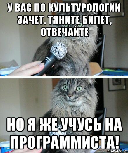 У вас по культурологии зачет. Тяните билет, отвечайте Но я же учусь на программиста!, Комикс  кот с микрофоном