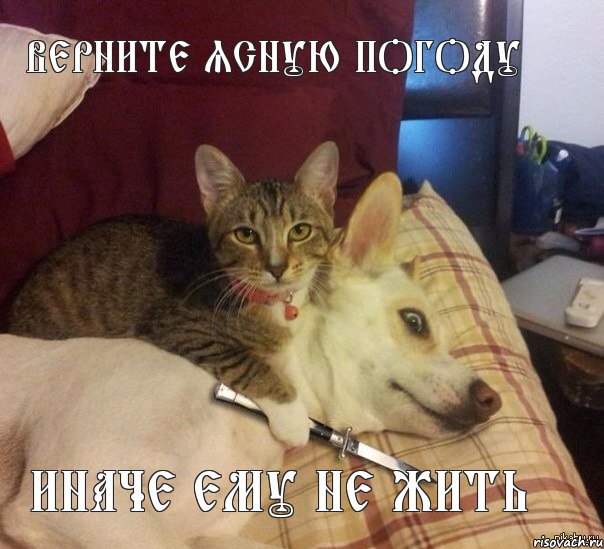 Верните ясную погоду Иначе ему не жить