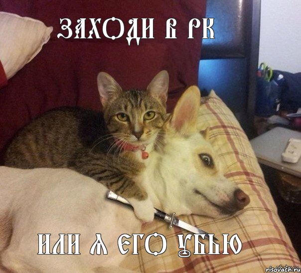 Заходи в рк или я его убью
