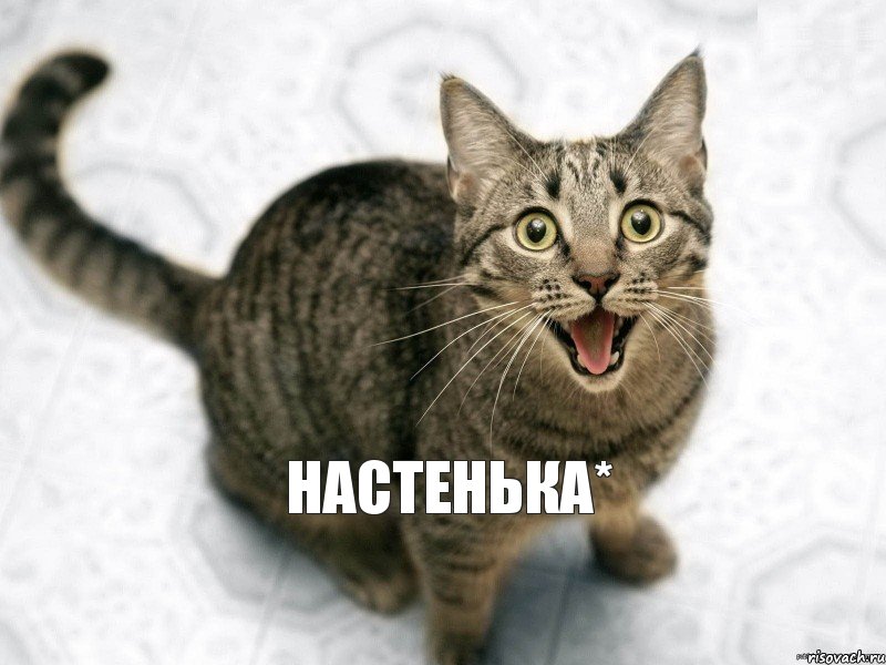 Настенька*, Комикс Кот