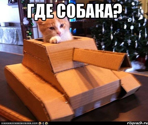 где собака? , Мем Котэ танкист