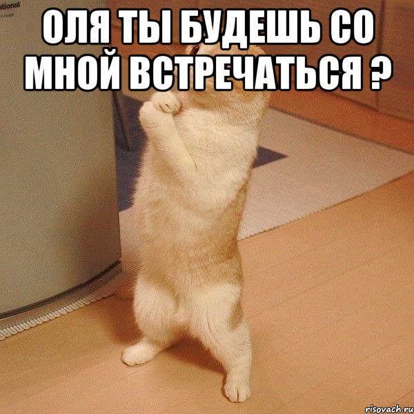 Оля ты будешь со мной встречаться ? , Мем  котэ молится